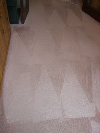 Bone Dry Carpet Cleaning 356657 Image 6